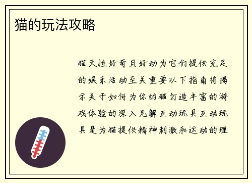 猫的玩法攻略